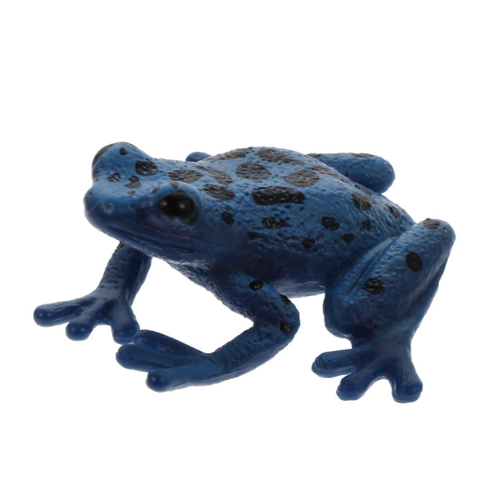 Durable Educational Animal Figurines Realistic Frog Model for Classroom and Science Projects