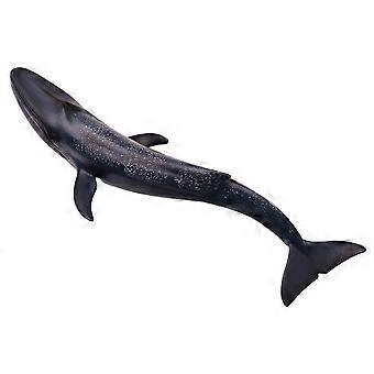 Modèle de baleine en plastique bleu ciel, solide, à usage éducatif (1 pièce).