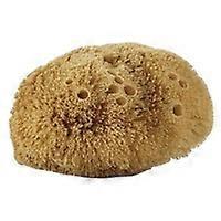 Natural body sponge 1 unit