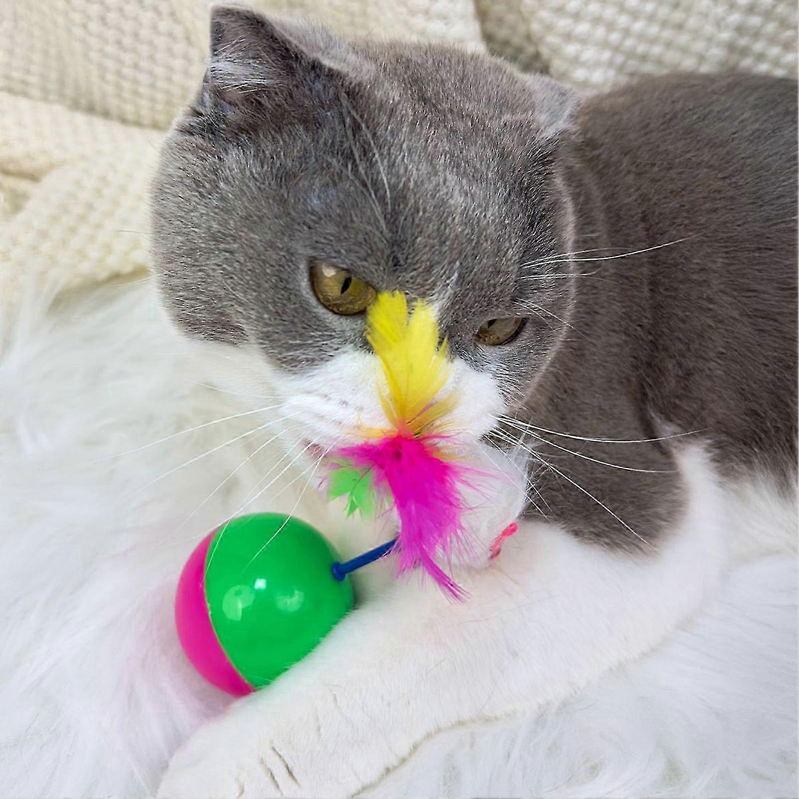 Eco Plastic Feather Ball Toy
