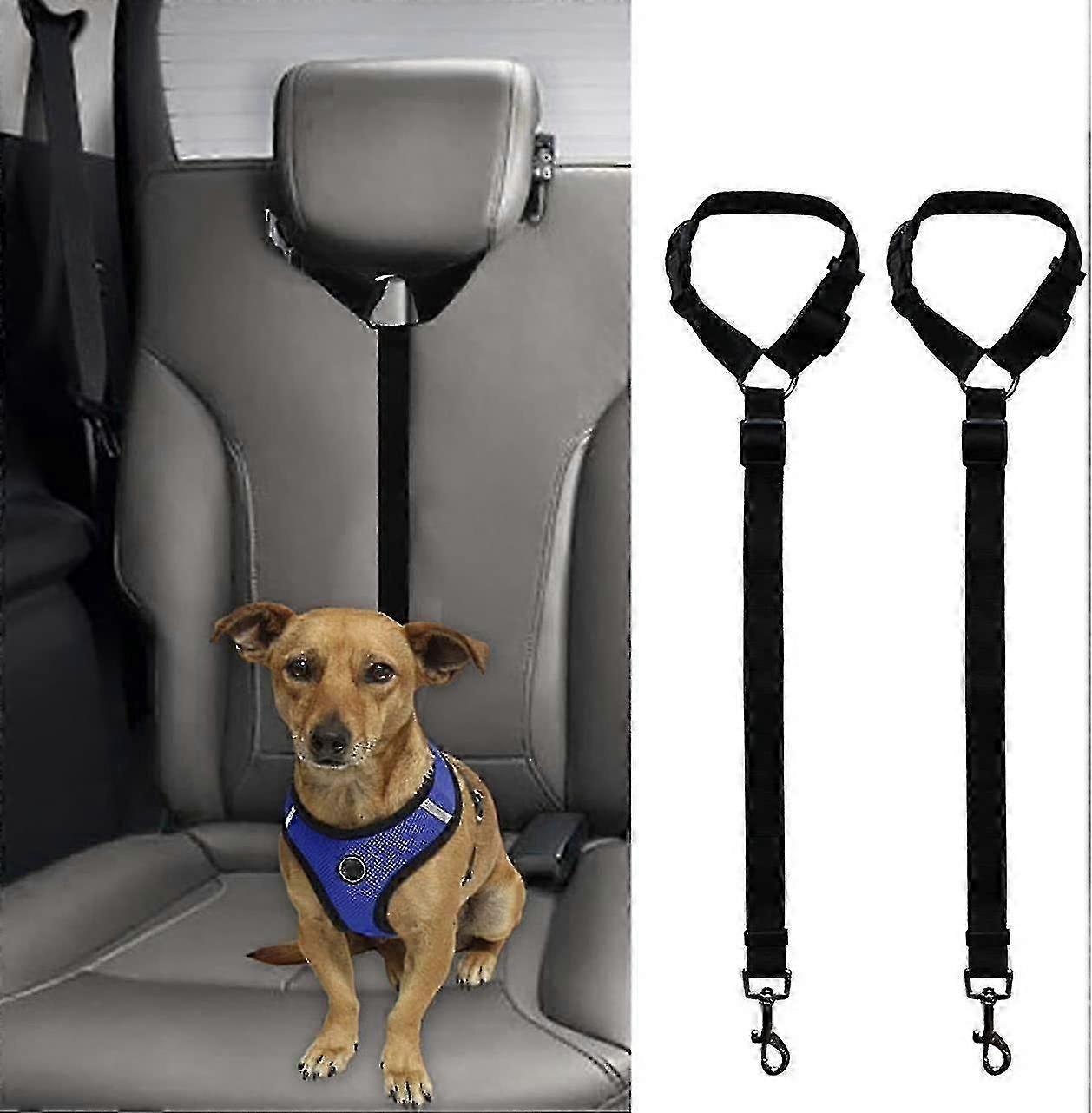 Versatile Elastic Pet Seat Tether