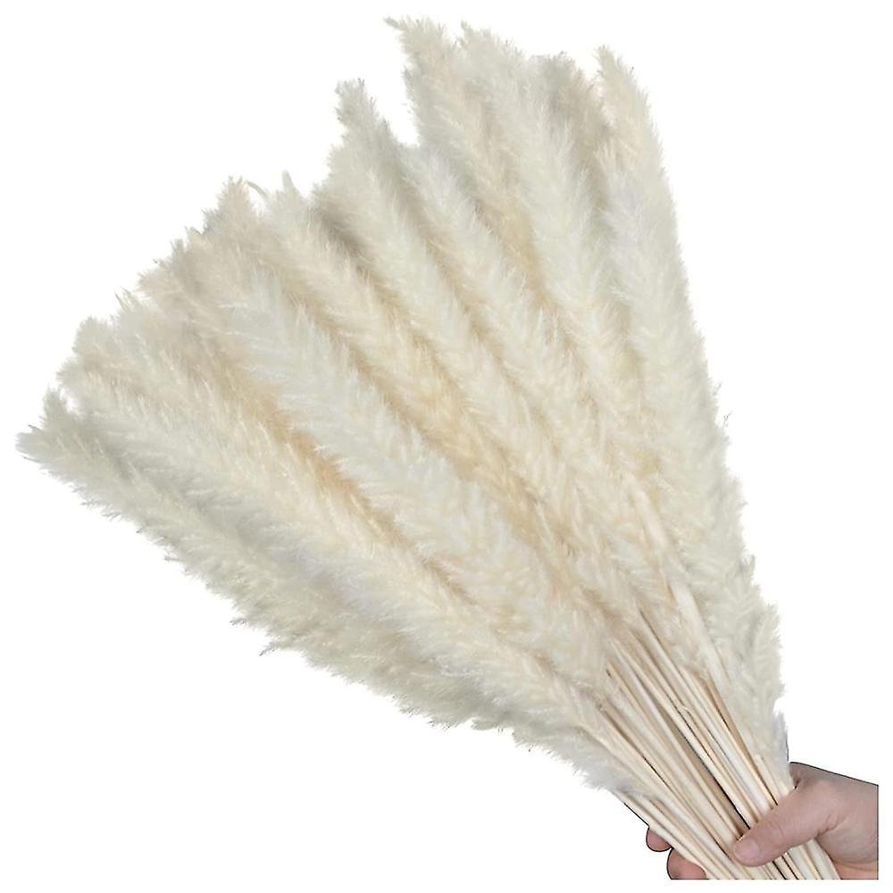 60pcs 17.72inch Dried Pompous Grass Compatible Vase Wedding Decor(white)