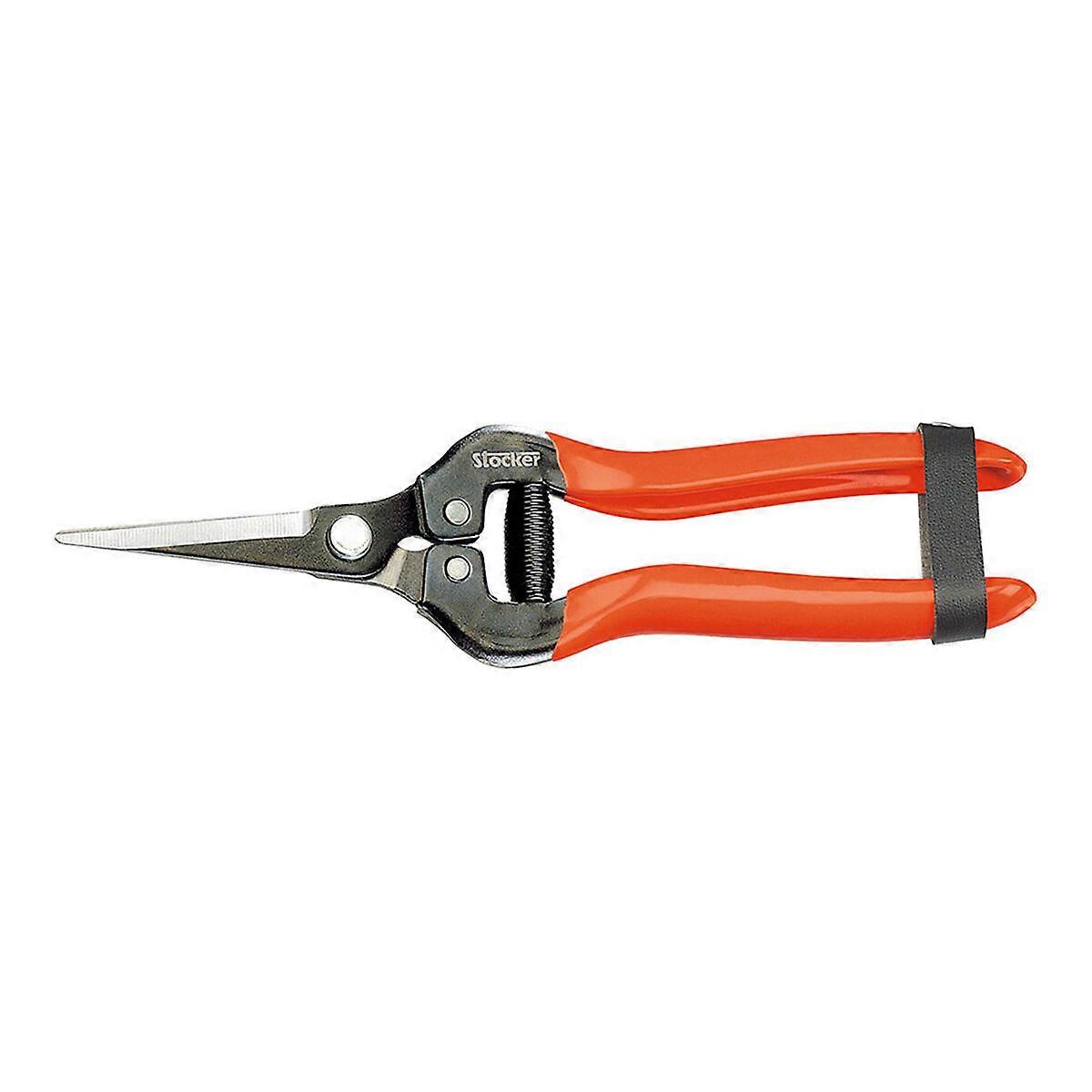 Garden Scissors Stocker Forged steel 19 cm Fruit and Vegetable Picker Grapes