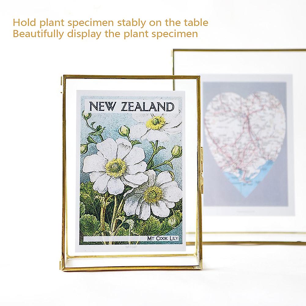 14x16x4.7cm Simple Style Geometric Glass Plant Specimen Holder Display Frame with Bracket