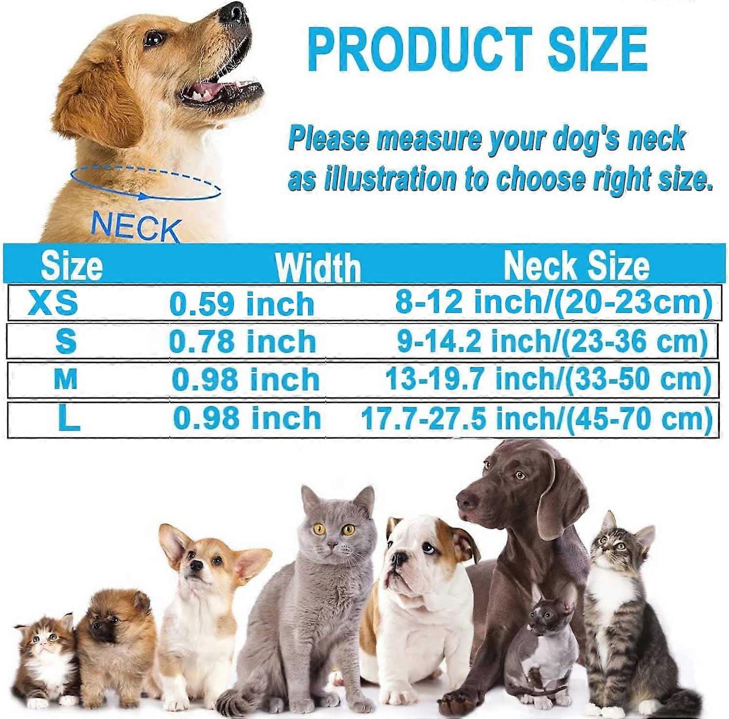 Dog Collar,Reflective Adjustable Basic with Soft Neoprene Padding,Durable Nylon Pet Collars for Puppy Small Medium Large Dogs,Light Blue,M:13-19.7inch