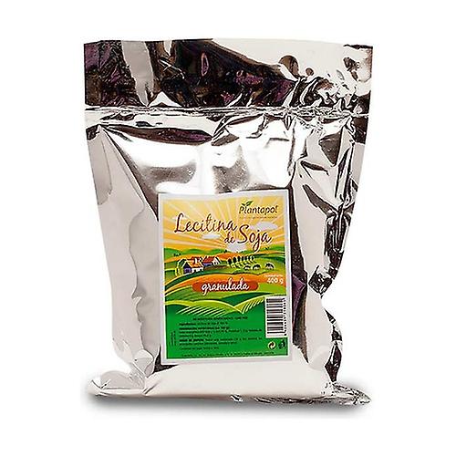 Soy Lecithin Bag 400 g