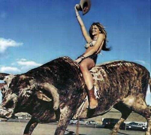 Lamont Muscle Guts and Luck CD