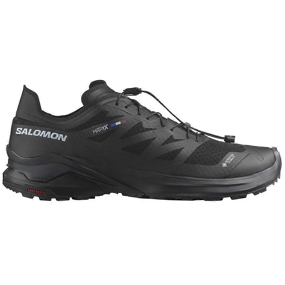 Shoes Salomon Xa Meta Gtx 478287