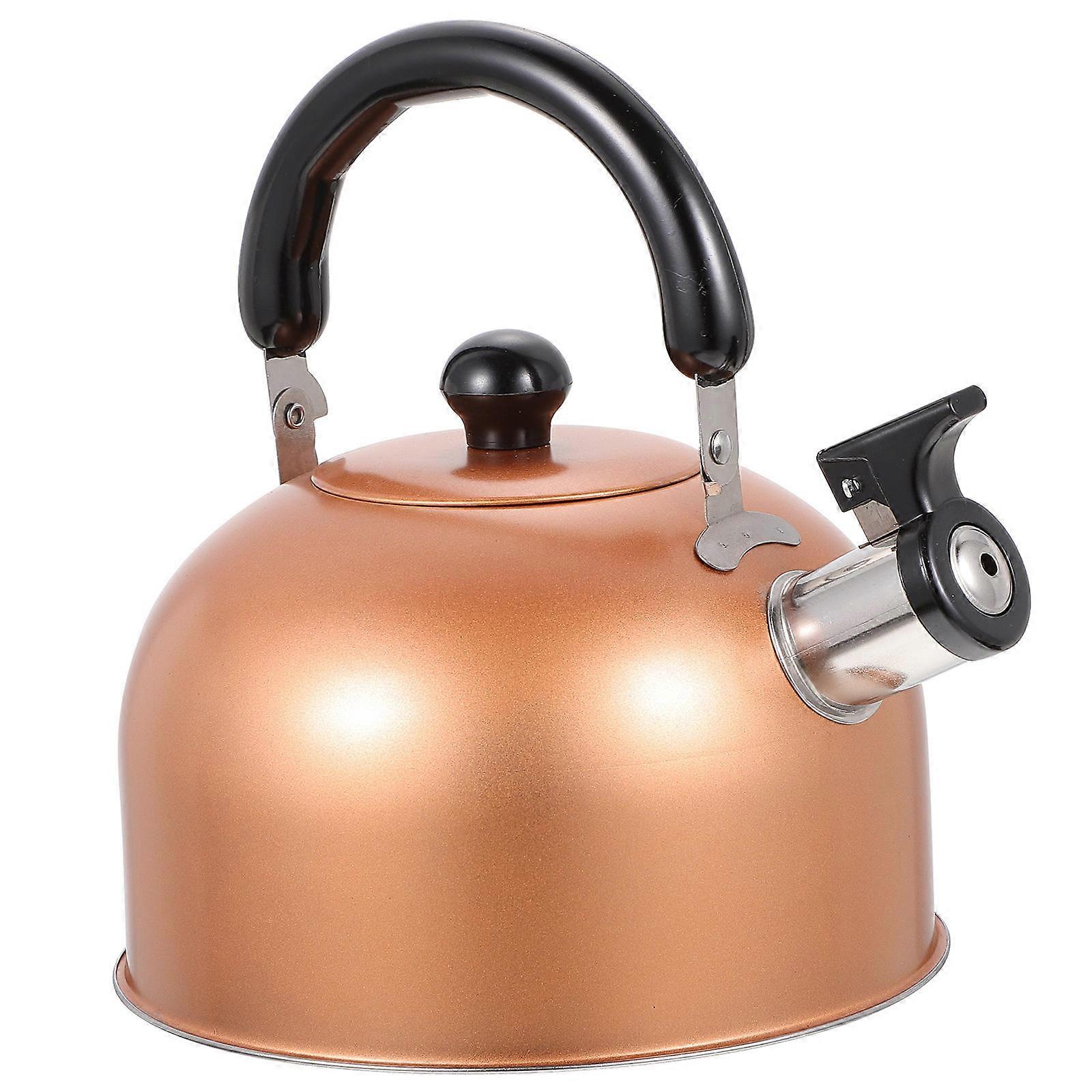 Small Kettle Whistling Teapot Daily Use Making Coffee Golden 2L 1Set