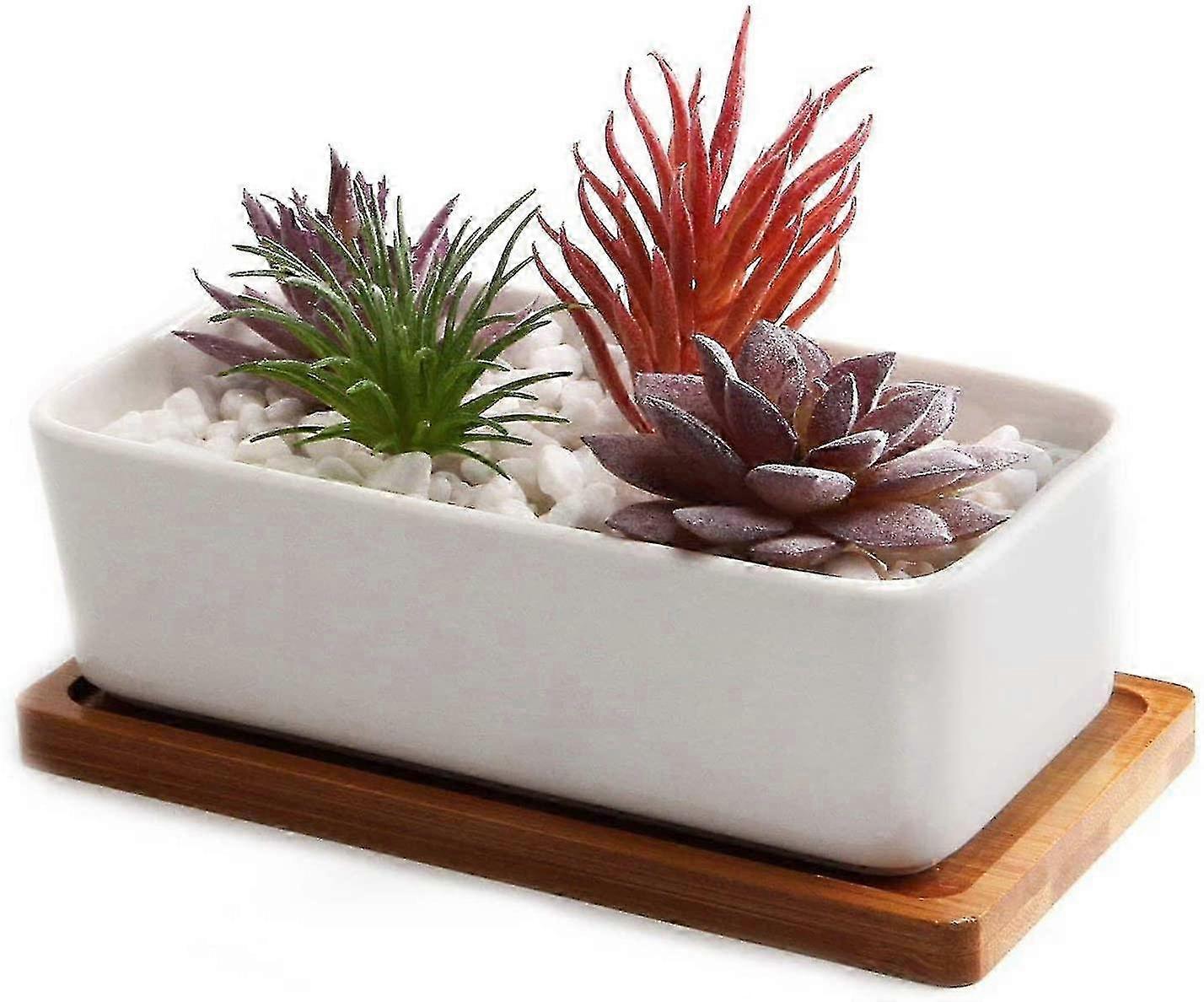 16.5cm White Ceramic Succulent Pot with Bamboo Tray, Cactus Planter