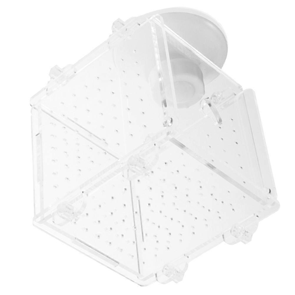 Durable Acrylic Fish Isolation Box for Aquarium Viewing and Breeding – Protects Fish and Shrimp from Aggressive Species with Tank Divider Function