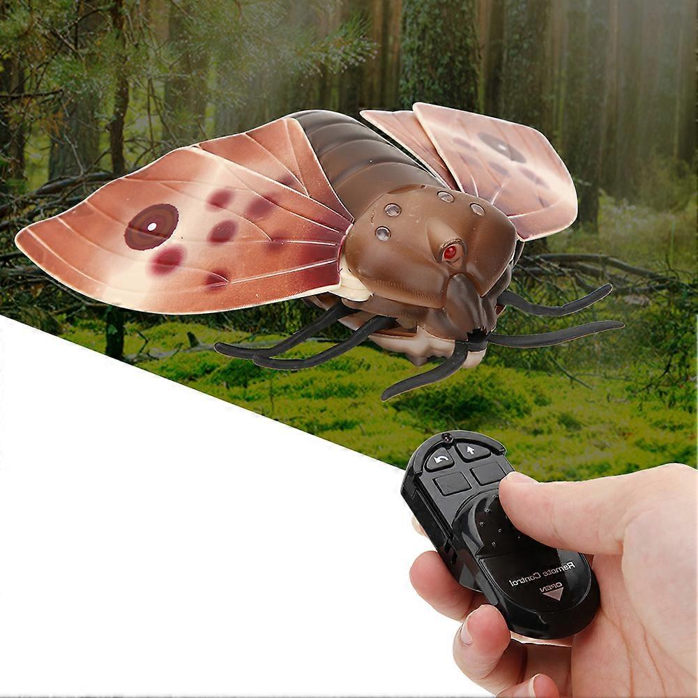 Remote Control Infrared High Simulation Insect Toy for Kids Age 6+