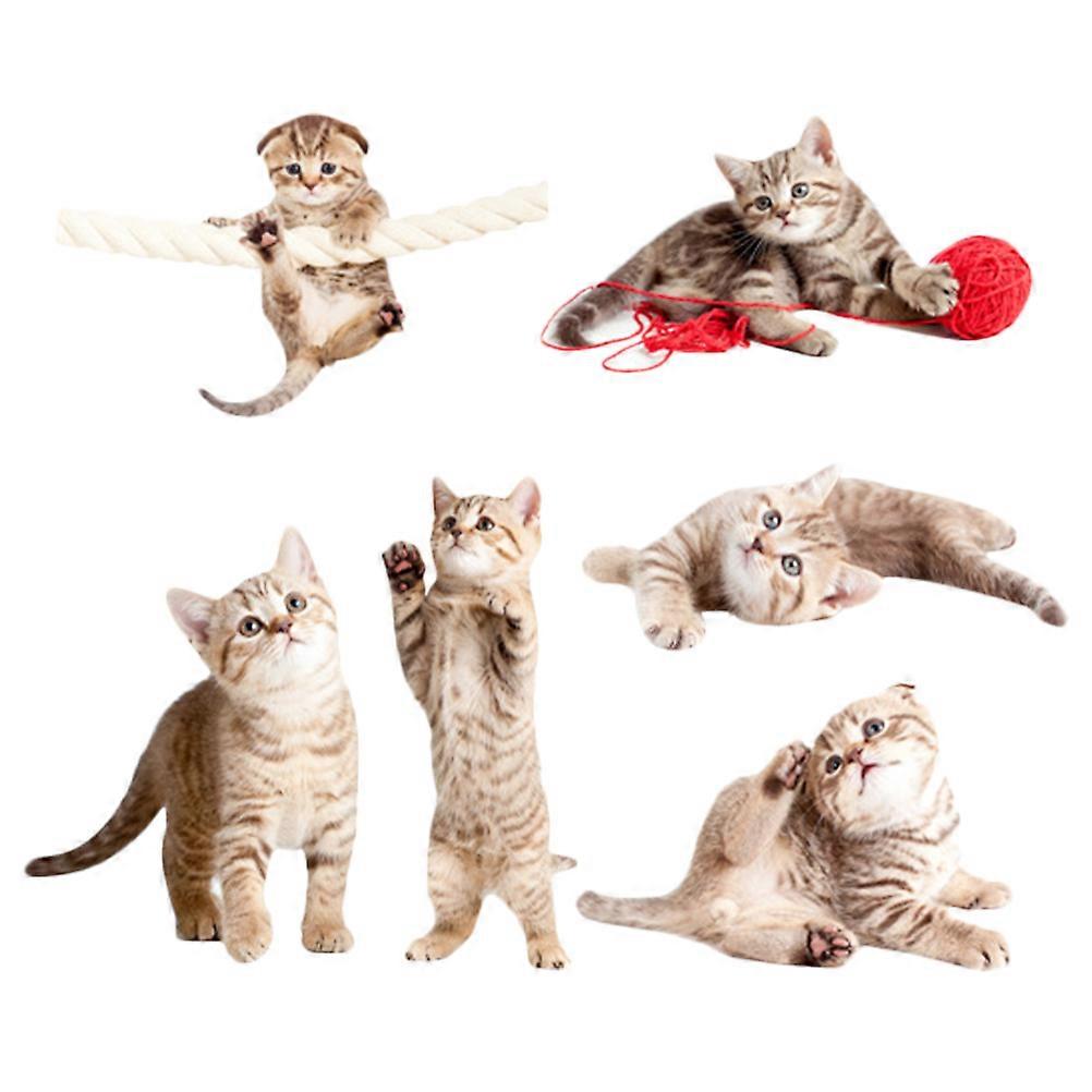 Static Cling Window Stickers For Glass Identification And Collision Warning 5 Sets Assorted Color