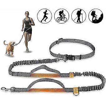Hands Free Dog Leash, Adjustable Elastic Jogging Leash With Reflective Stitching compatible with Dogs Up To 110 Kg