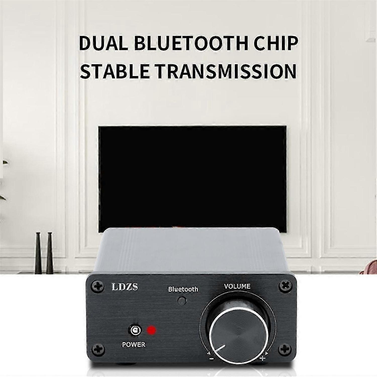 LDZS HiFi high power digital small power amplifier