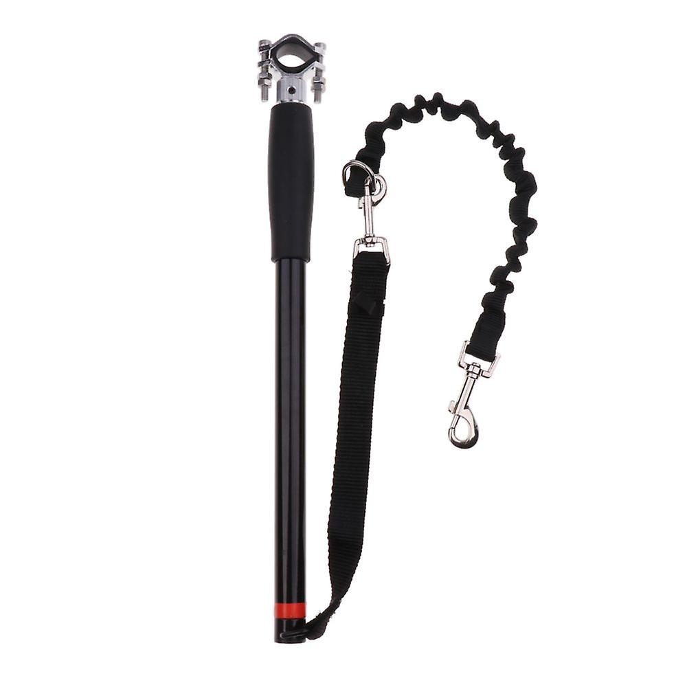 Free Elastic Dog Bike Leash