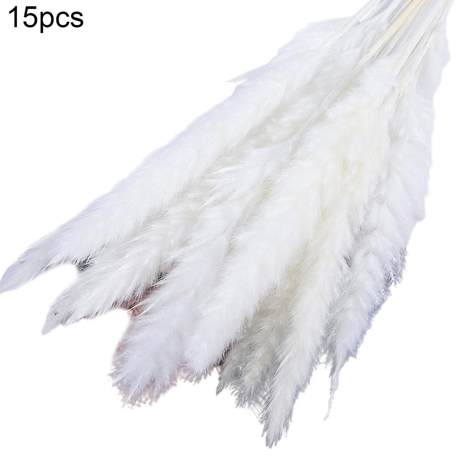 ZHOUBA 15Pcs/Bundle Small Pampas Grass Ornamental Desktop Decor Dried Flower Artificial Reed Bouquet