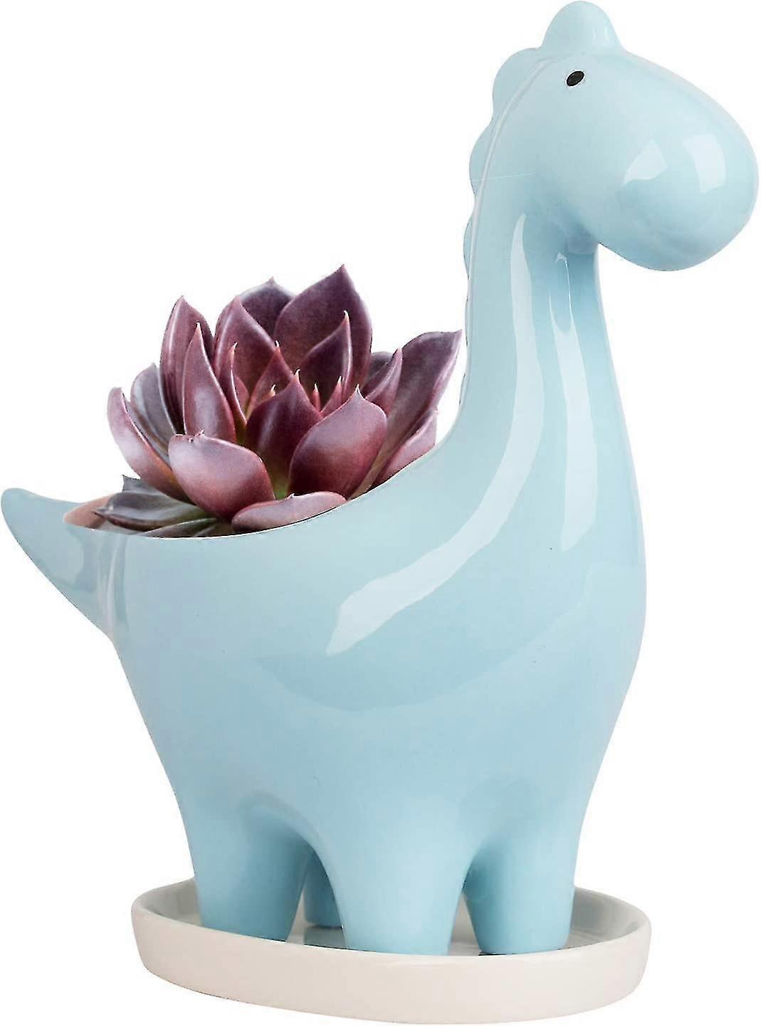 Ceramic Succulent Pot With Saucer,mini