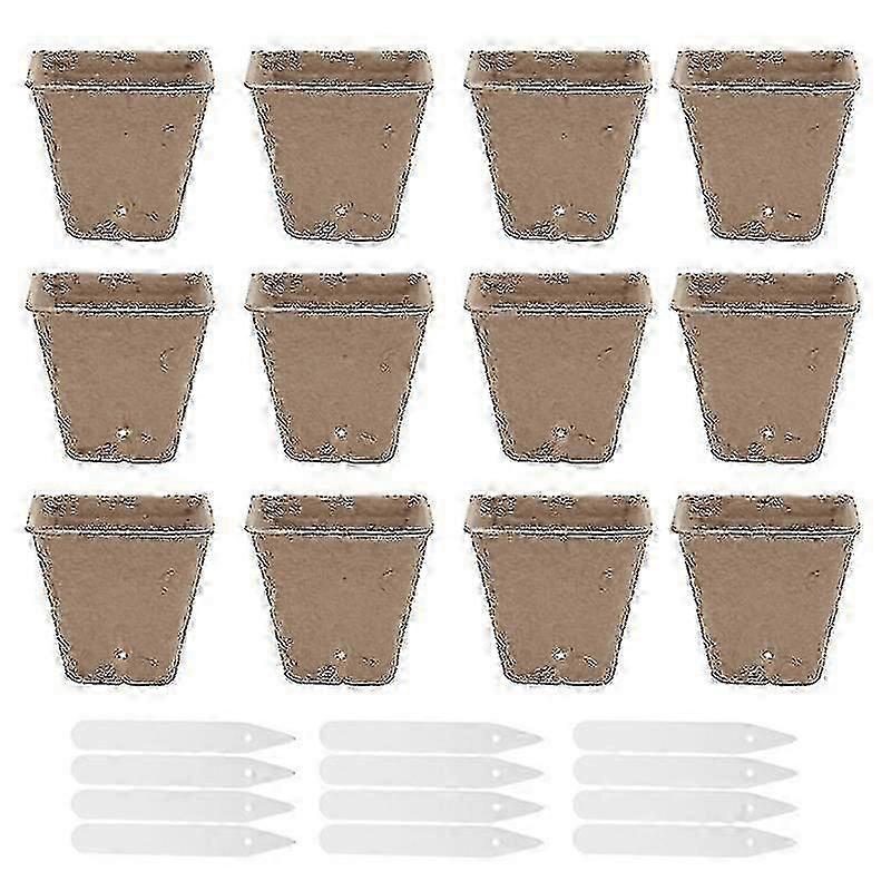 1set 원예 화분, 심기 묘목 컵