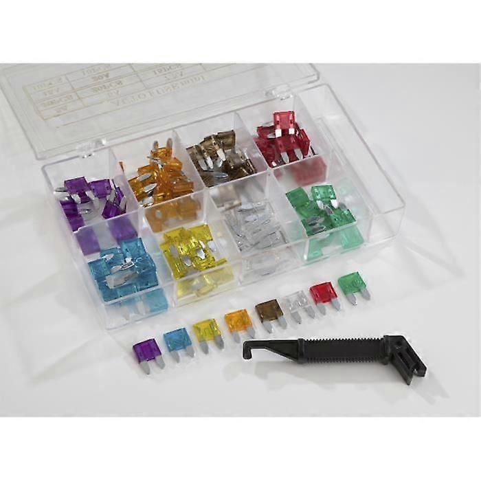 Assortment of mini fuses - Wentronic - 100 pieces + 1 extractor
