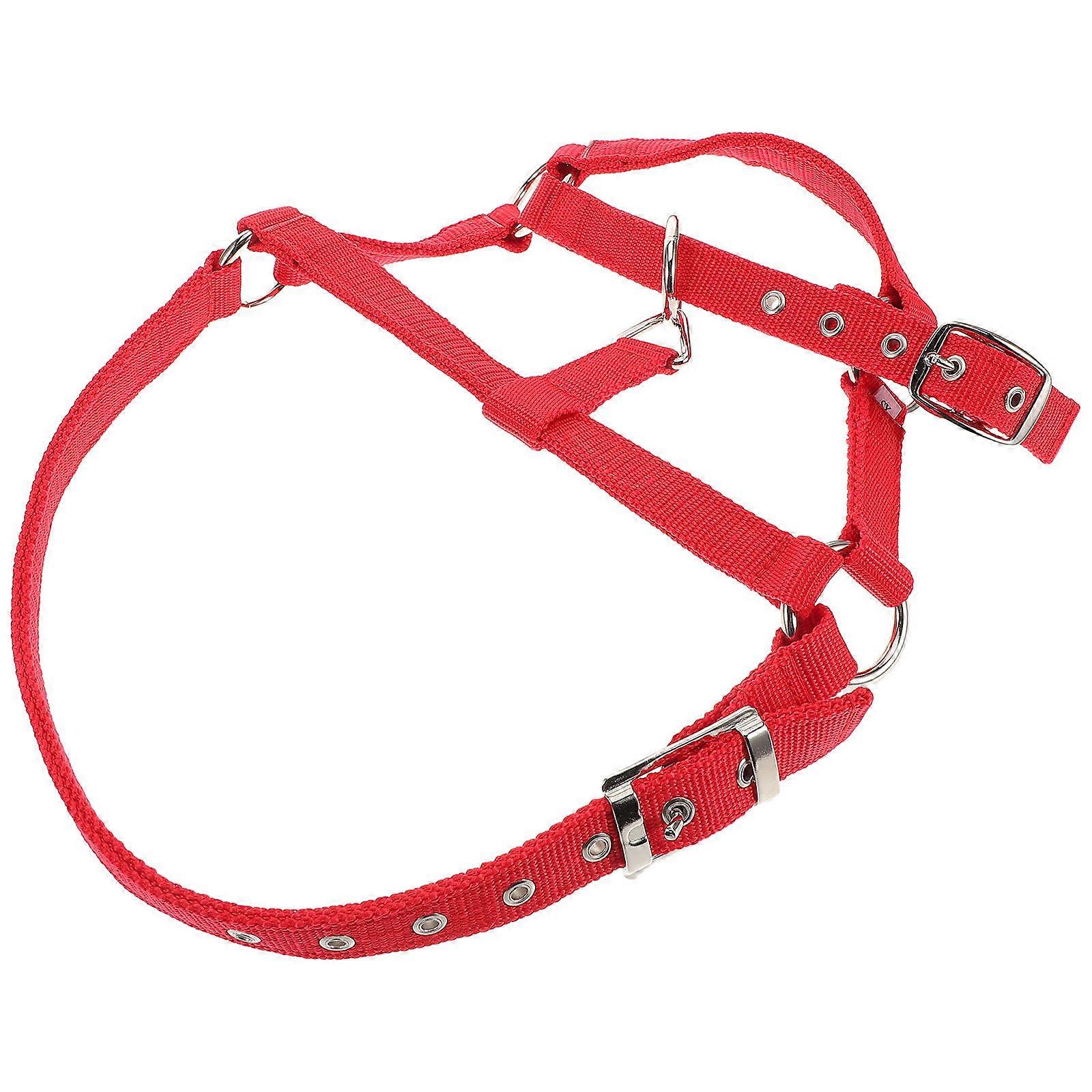 Red Adjustable Nylon Horse halter and Rope Set for Equestrian Training with Breakaway Feature 12.5 Inches