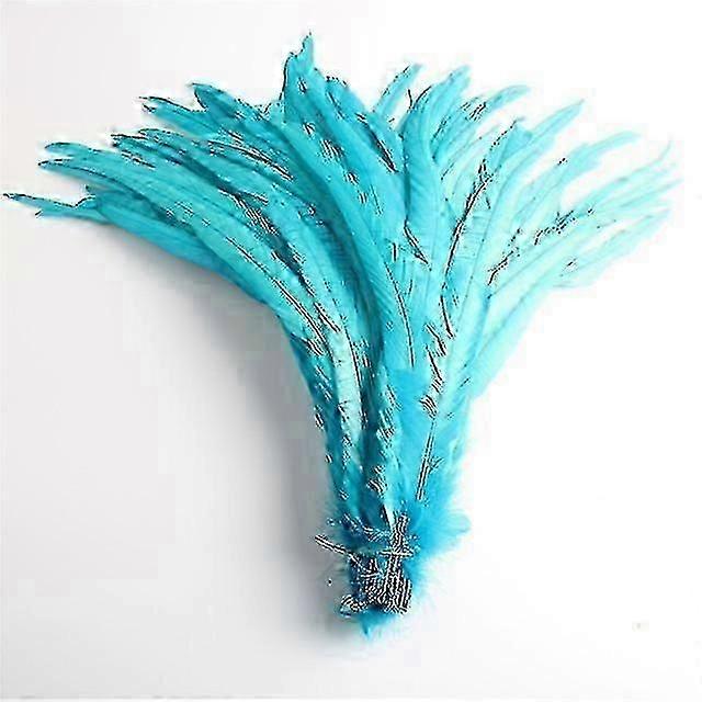 50pcs Penas de cauda de pintinho natural 25 -40cm / 10 -16 polegadas Decoração de roupas Palco Performance Galo