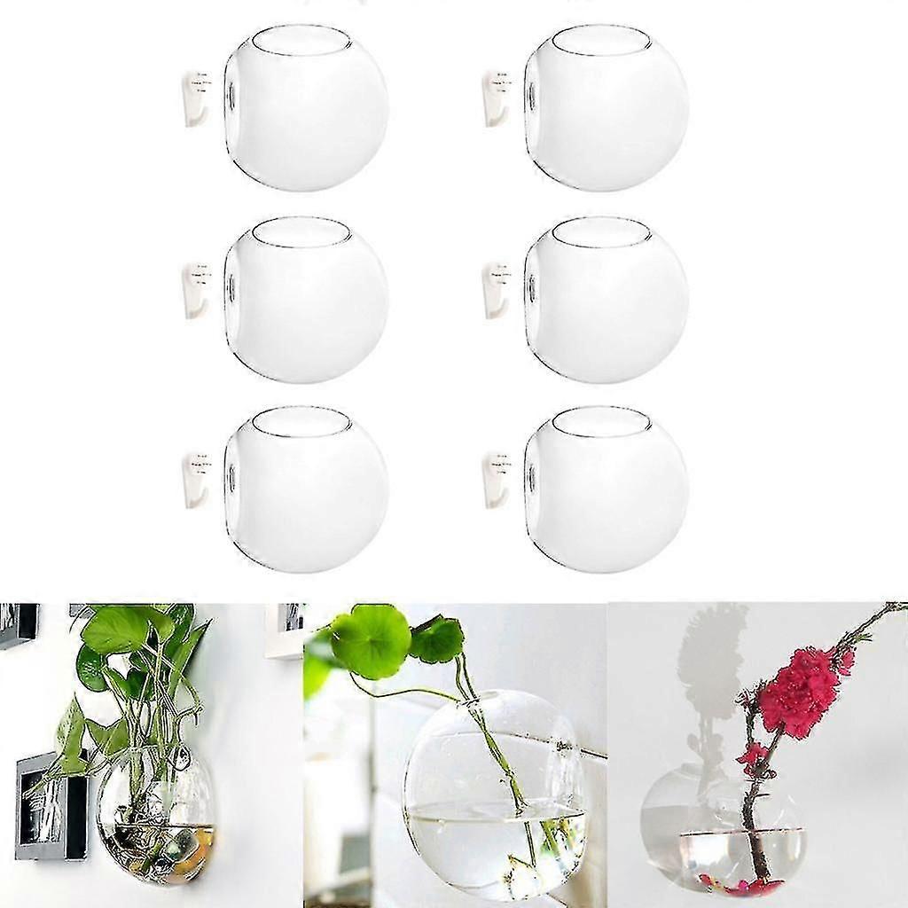 Unbrand Pack de 6 Tenture murale en verre Terrariums Jardinière Vase à fleurs compatible avec les pl