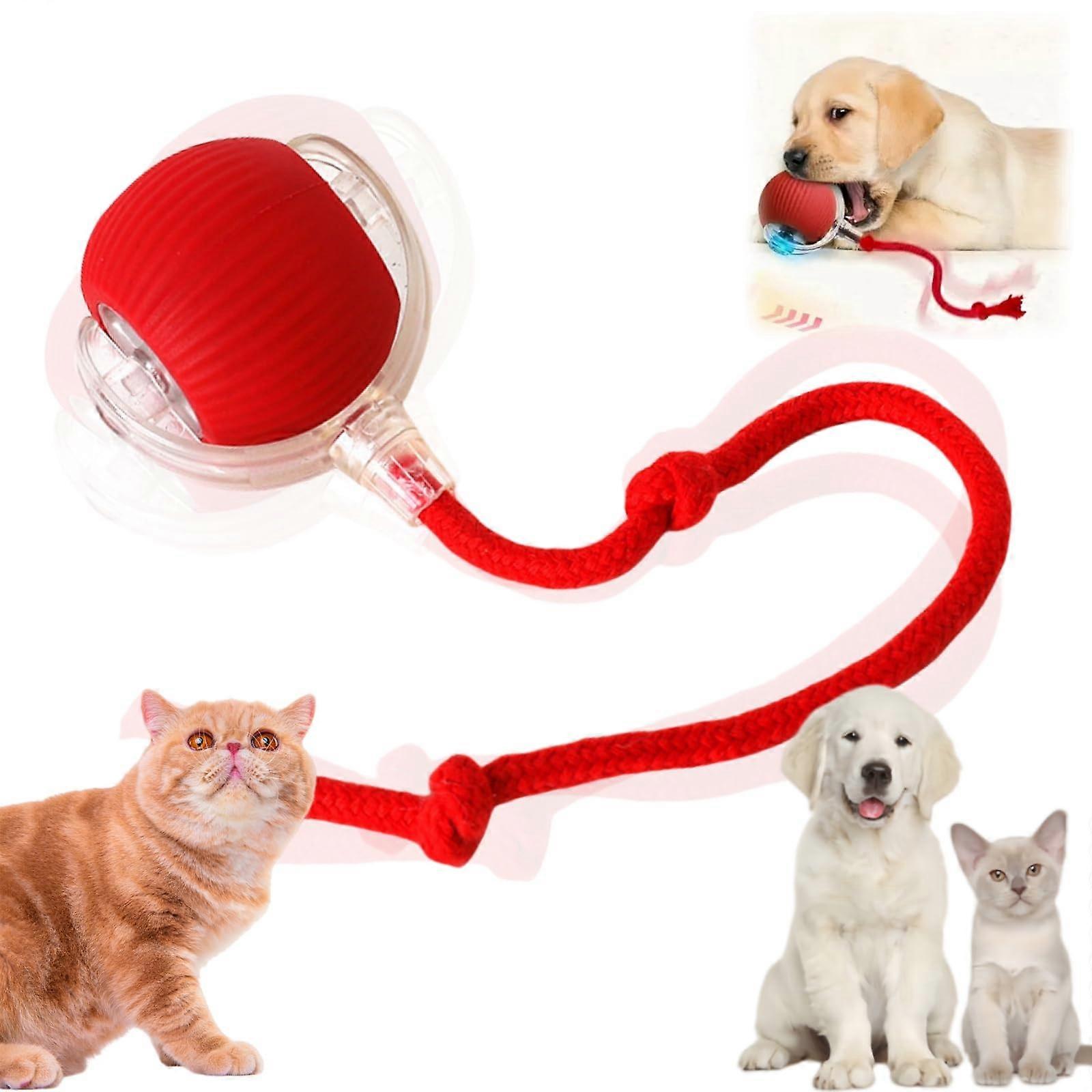 Interactive Dog Toy with 360° Automatic Rolling, Smart Motion Sensor for Cats and Dogs, Red