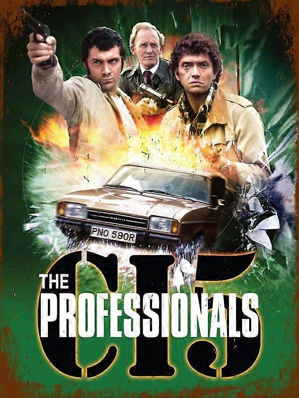 The ProfessionalsJigsaw Puzzle Brain Teaser P1643