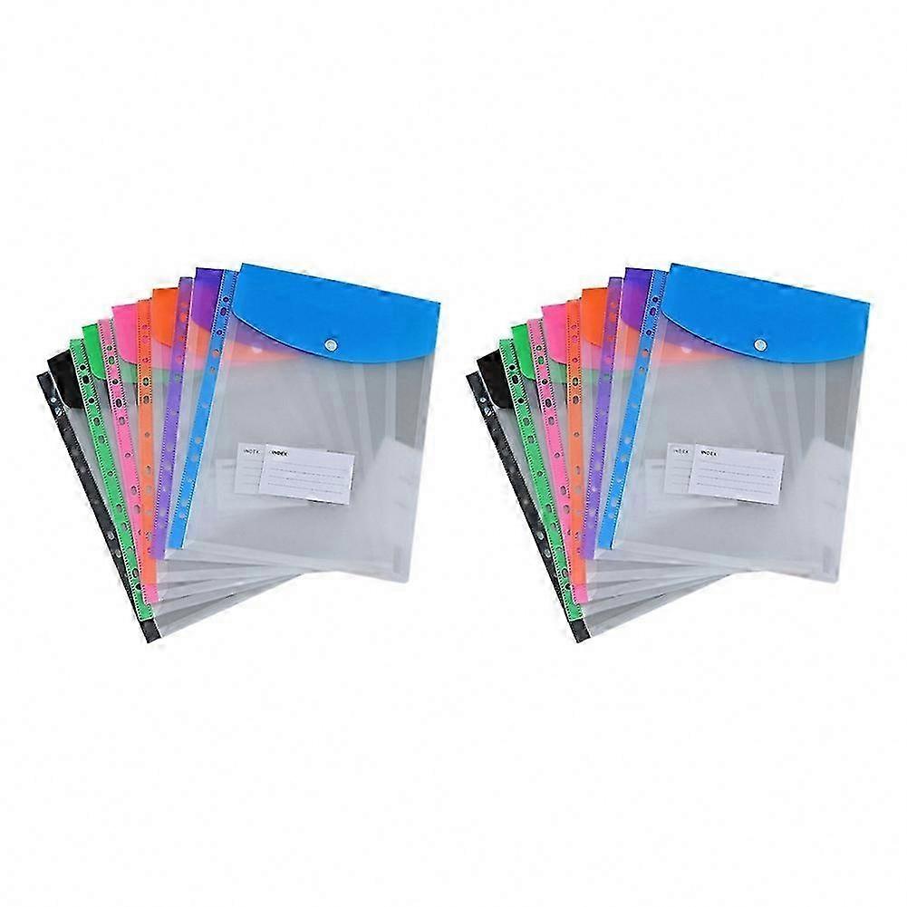 12-Pack Plastic Envelope Folders, Expandable Pocket Organizers for 2/3/4 Hole Binders, Loop Binder-Compatible Storage Solution