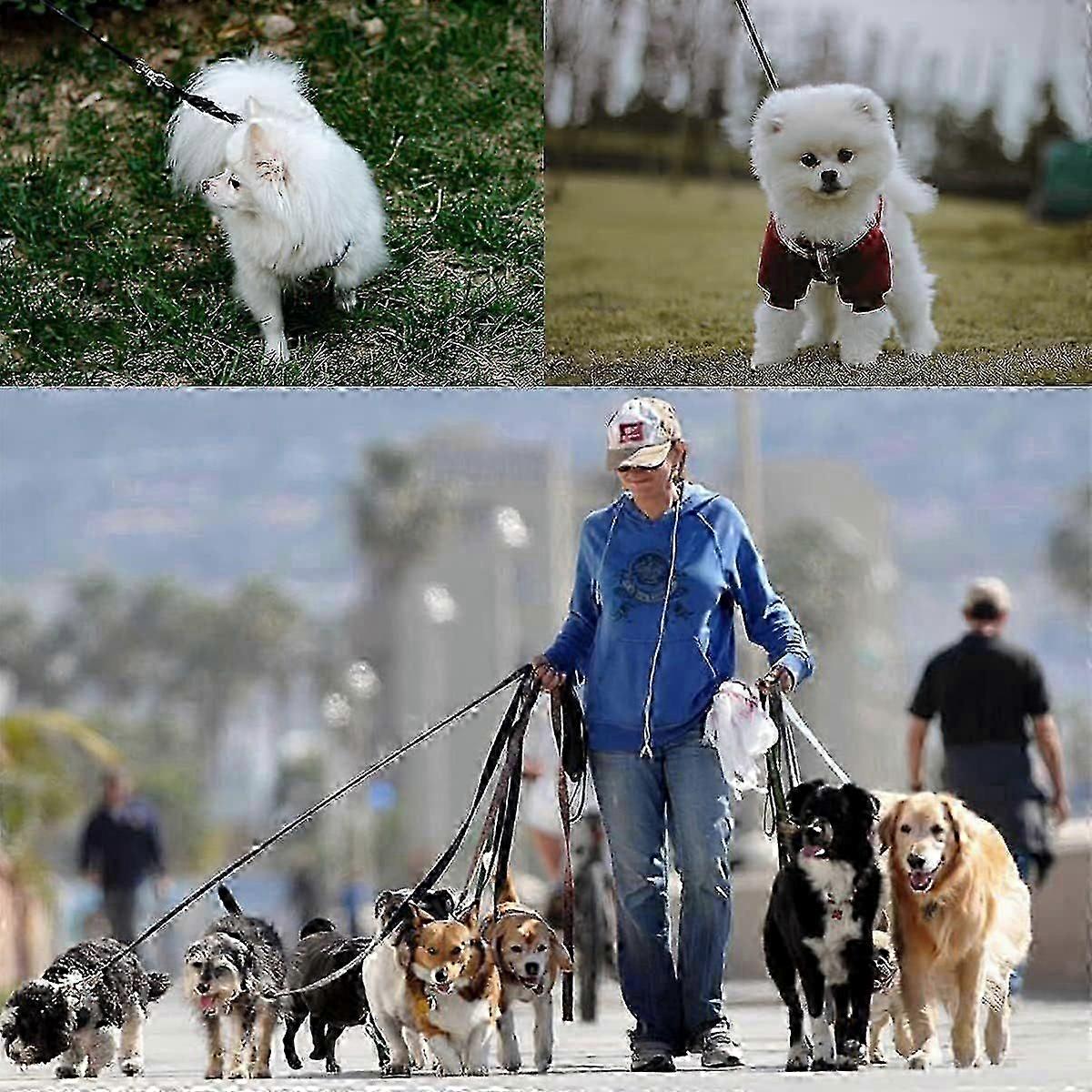 30M Padded Handle Dog Leash Long Training Tracking Lead