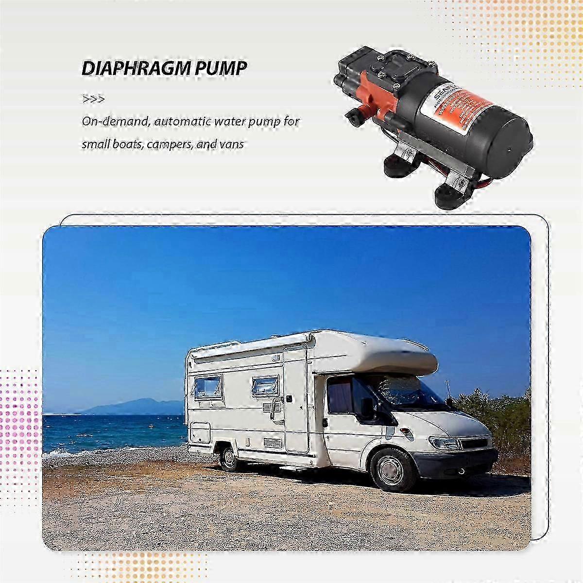 12V Heavy-Duty Demand Switch Pump