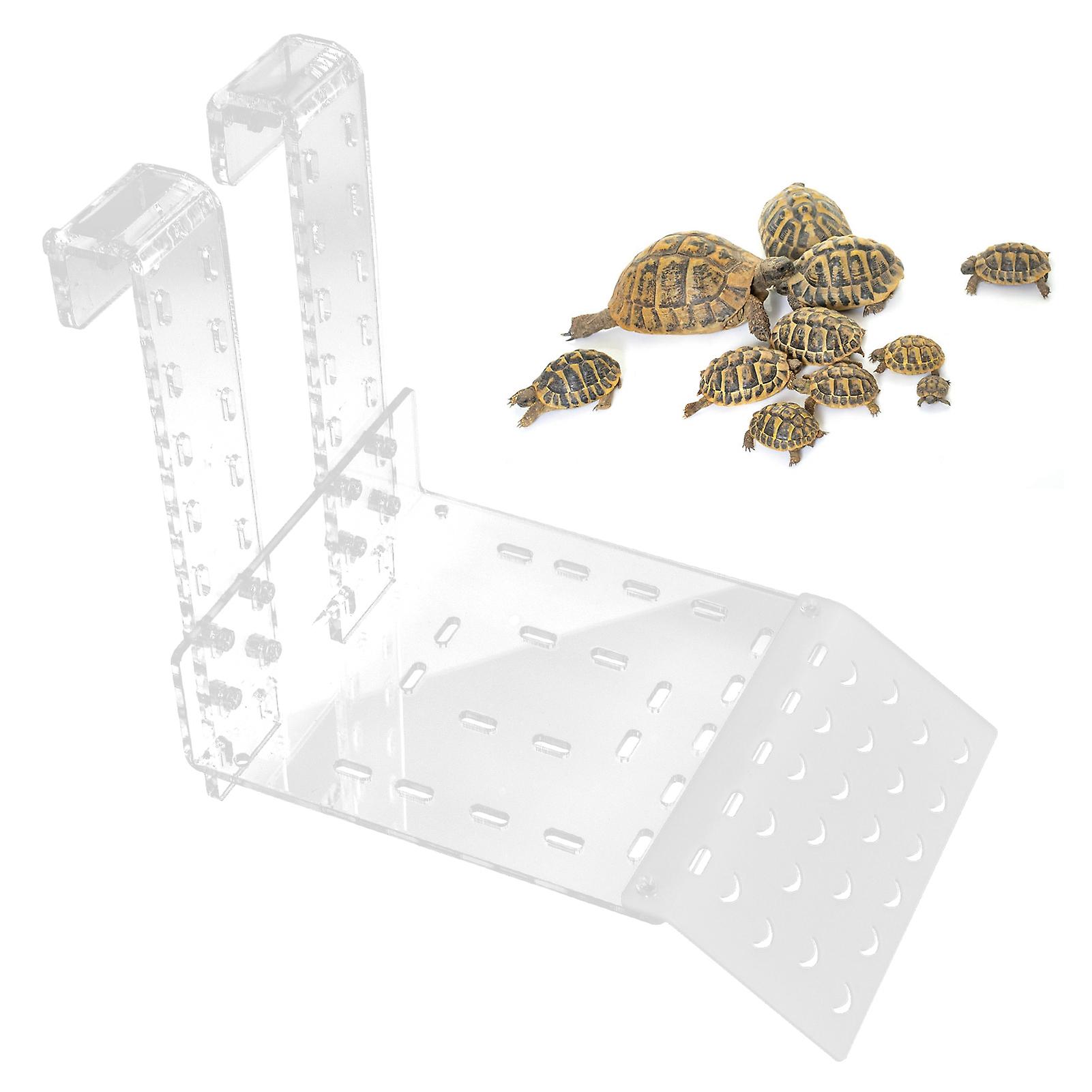 Large Acrylic Turtle Basking Platform Transparent Resting Terrace