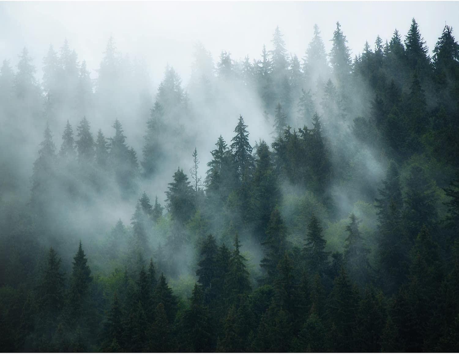 Non-woven tapet Mural Skog Dimma Modern Fleece Vardagsrum Sovrum Hall - Väggtavlor Gobeläng