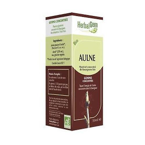 Glycerinated Macerated Alder 50 ml