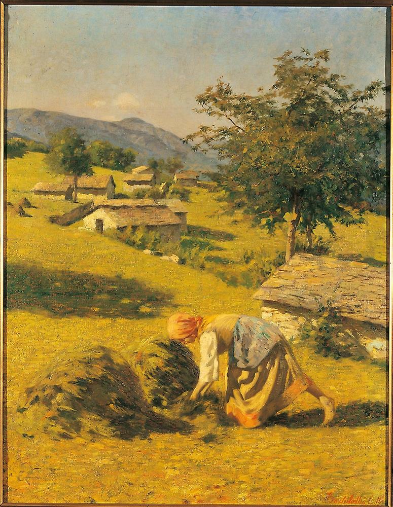 Hay Harvesting Poster