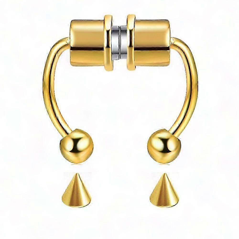 Reusable Magnetic Septum Nose Ring