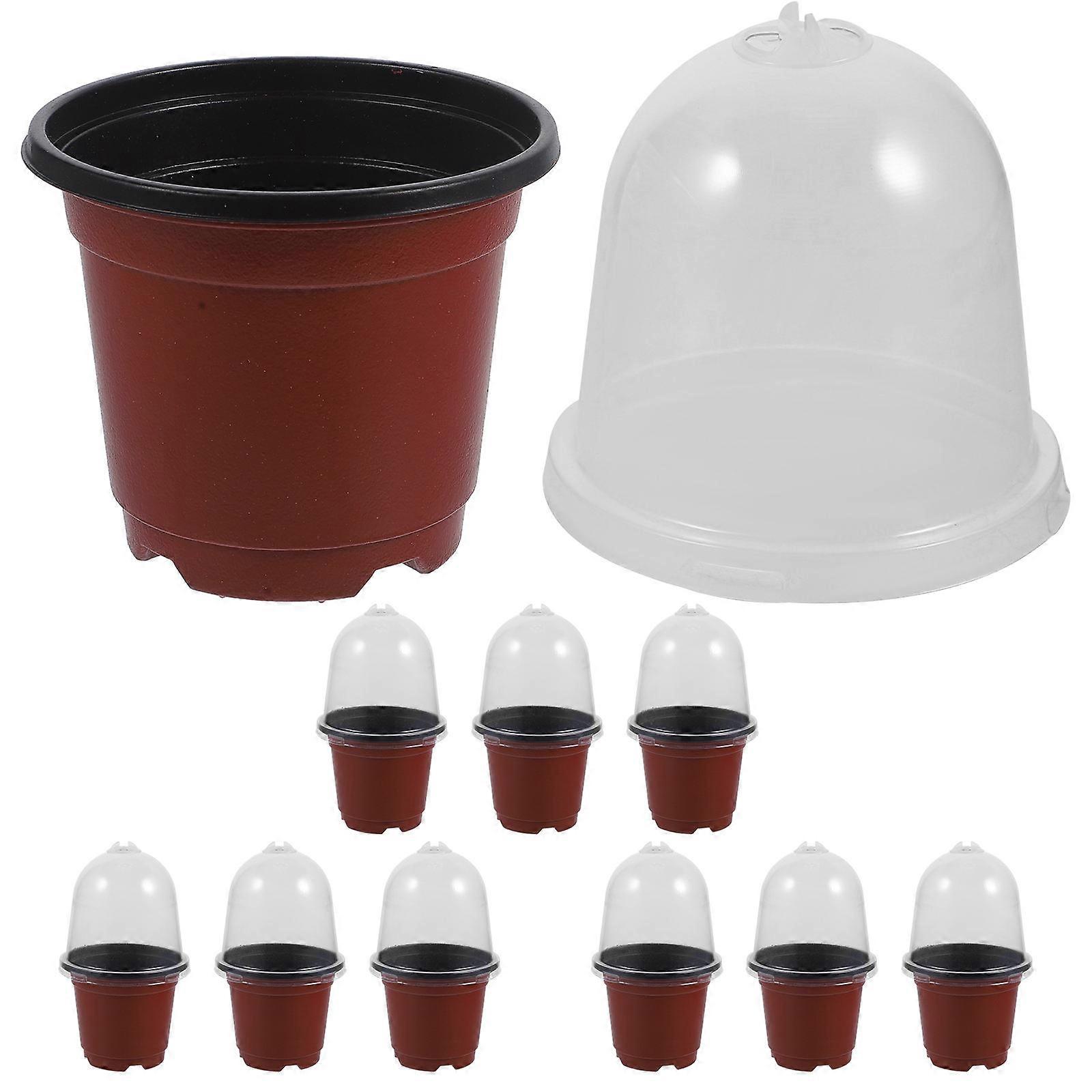 10 Assorted Color Nursery Pots with Humidity Dome for Daily Use Made of PET with Drainage Holes