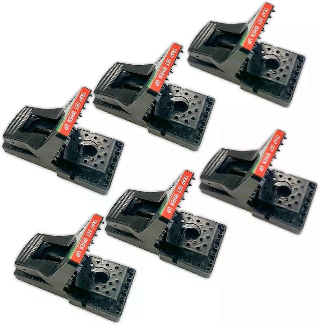 Plastic Rat Trap, Pack of 6, for Solid or Liquid Bait