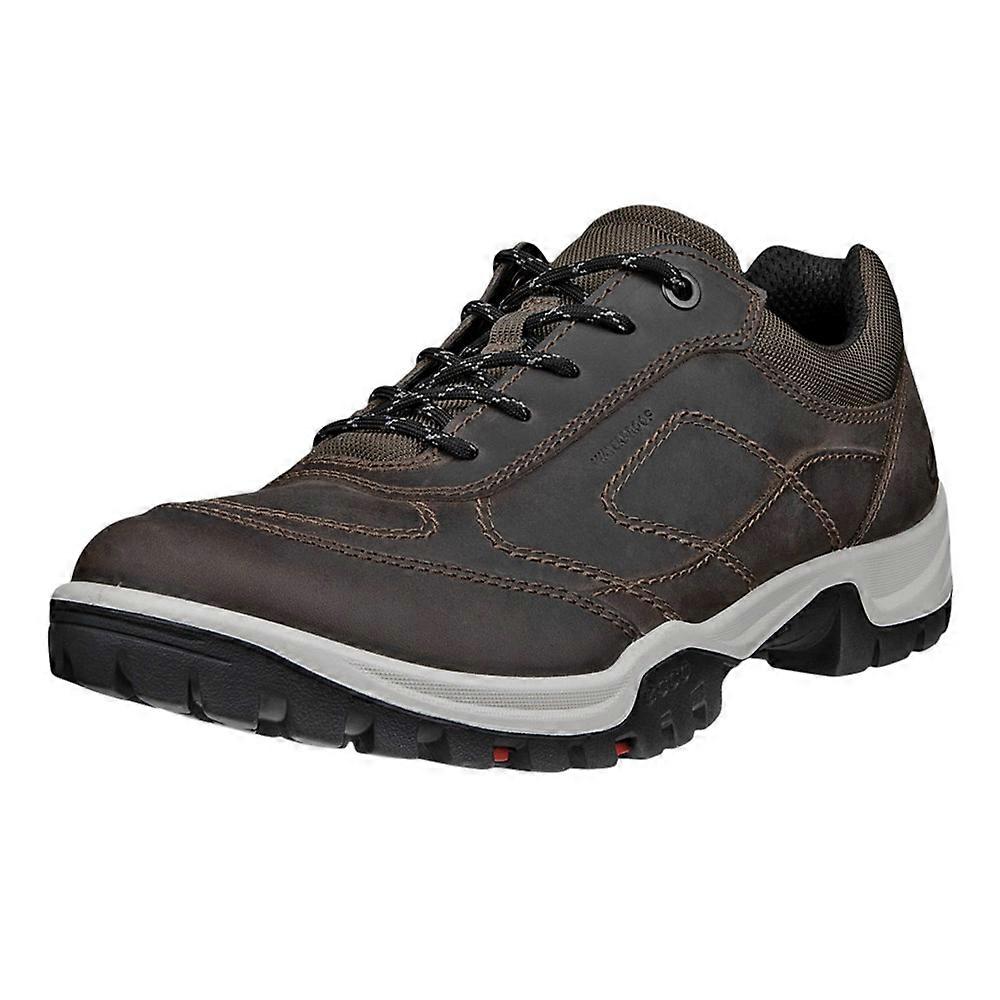 Shoes Ecco Xpedition Iii 81143402559