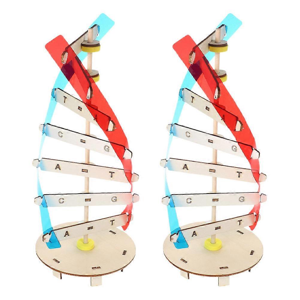 Dna Double Helix Model Kit for Biology Classroom with Components