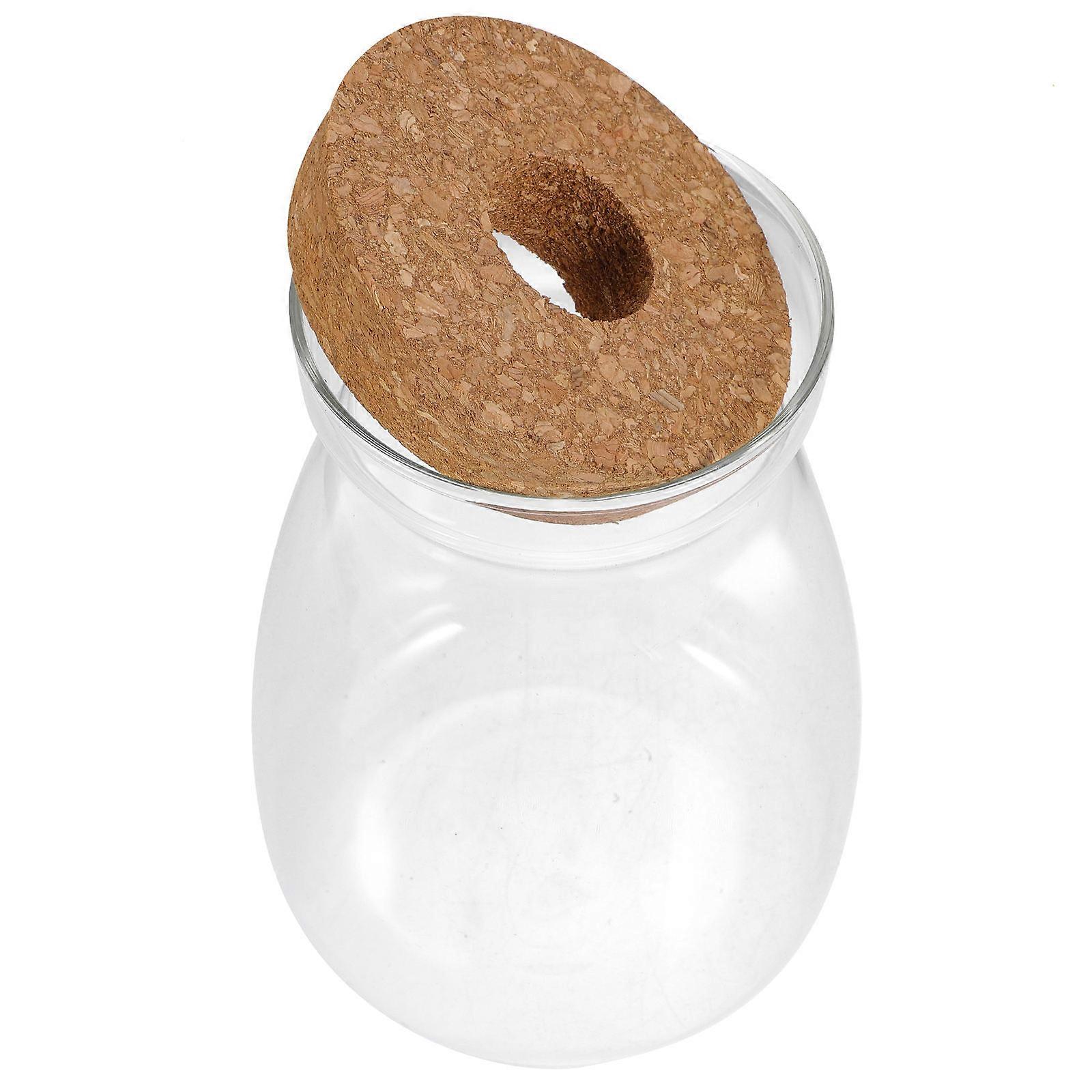 Transparent Glass Jar for Terrarium Plants Ecosystem Container 3Pcs