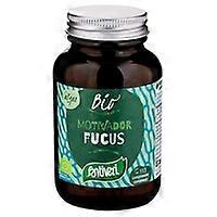 Fucus Tablets 60 g