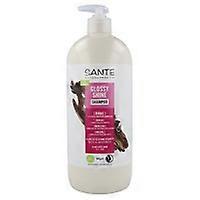 Birch shine shampoo 950 ml