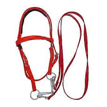 Tear-Resistant Adjustable Snaffle Noseband
