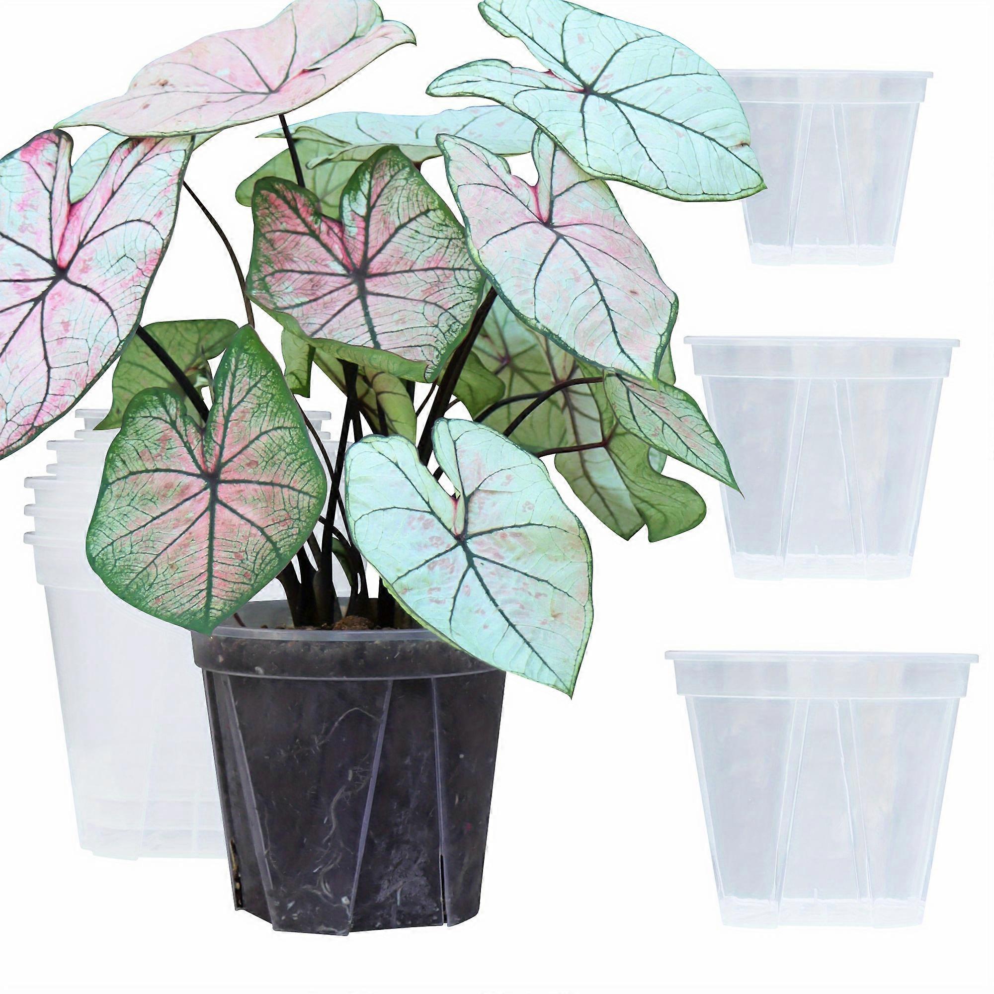 Fioriere moderne in plastica trasparente da 12 pezzi con fori di drenaggio - 4/5/6 pollici, perfette per uso interno ed esterno, ideali per erbe, fiori e cactus P