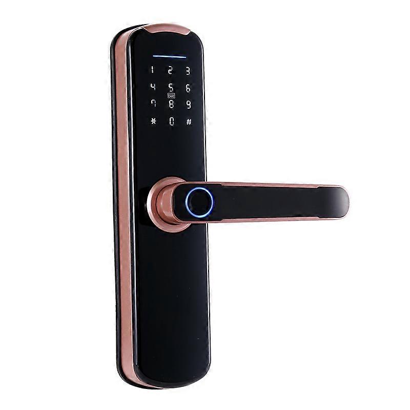 Tuya Wifi Electronic Smart Door Lock Smart Card / Password / Key Unlock / Usb Emergency Charge / con impronta digitale biometrica