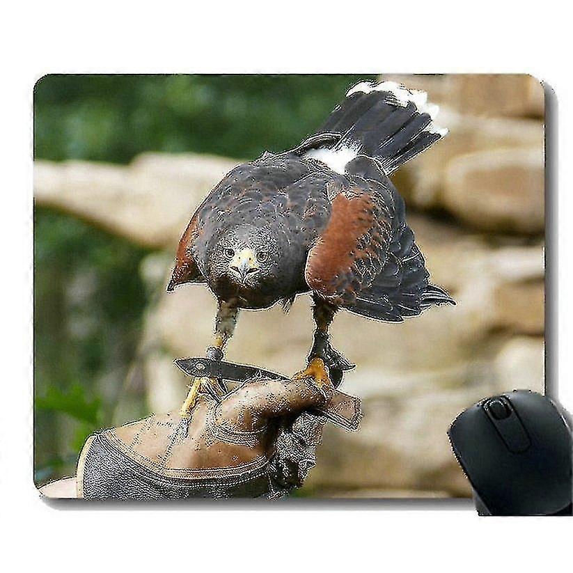 (260X210X3) Mouse Pads Customized,Predation Bird Non-Slip Rubber Base Mousepad