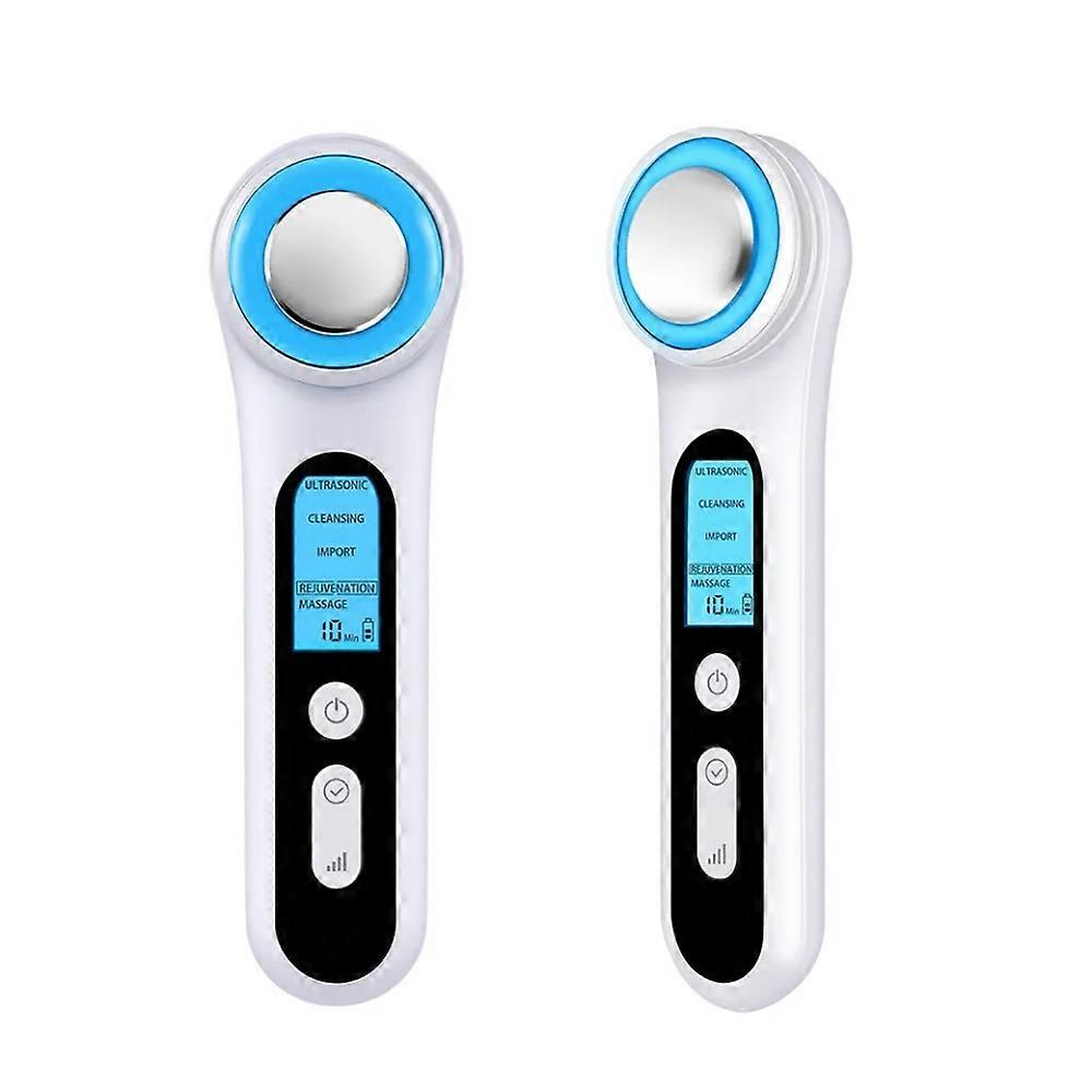 D021 RF EMS Facial Massager