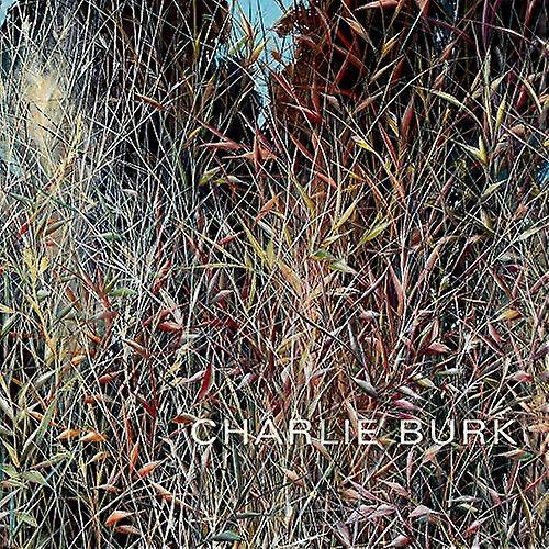 Charlie Burk: Journey in Abstraction
